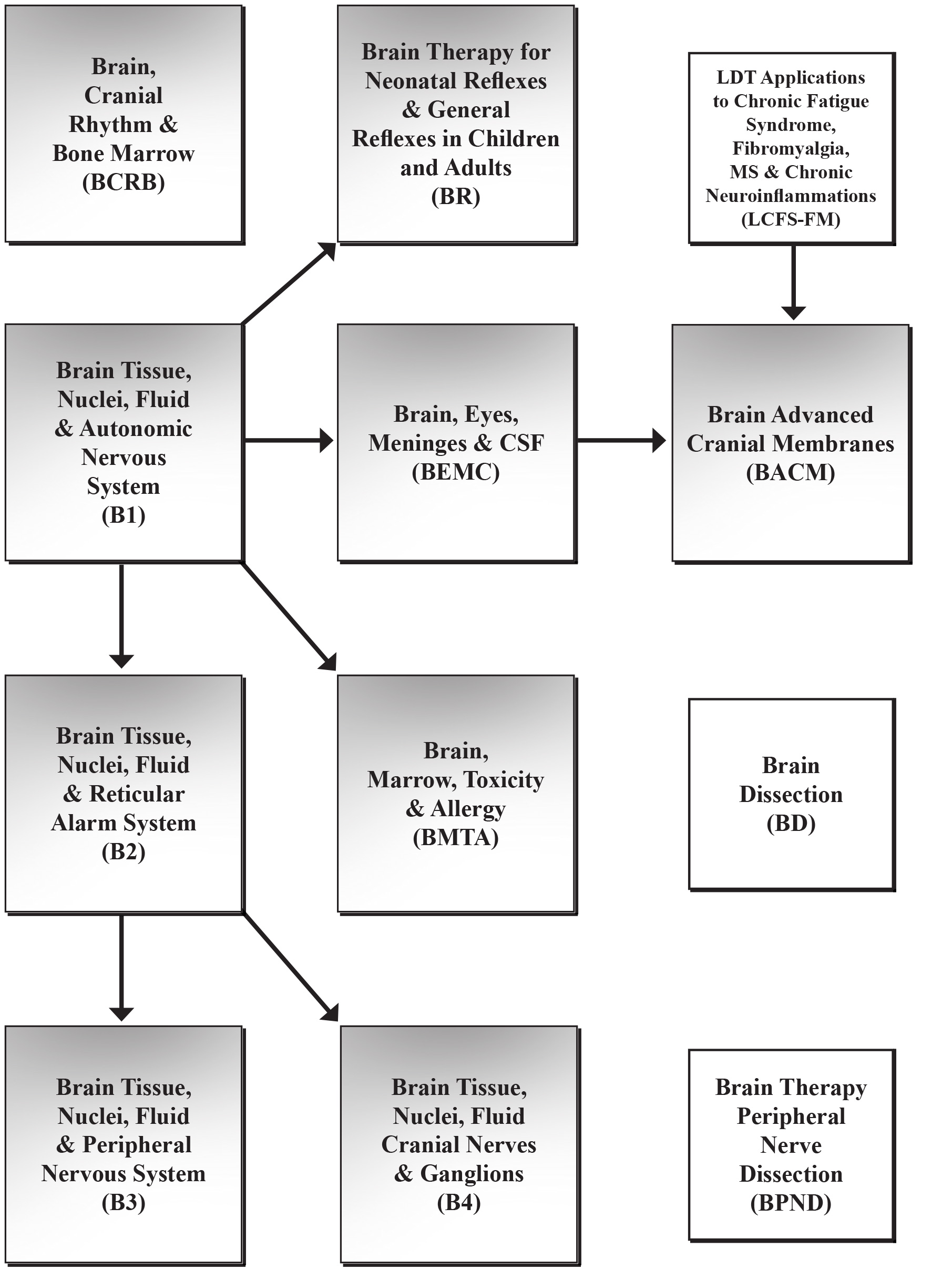 Brain Parts Flow Chart