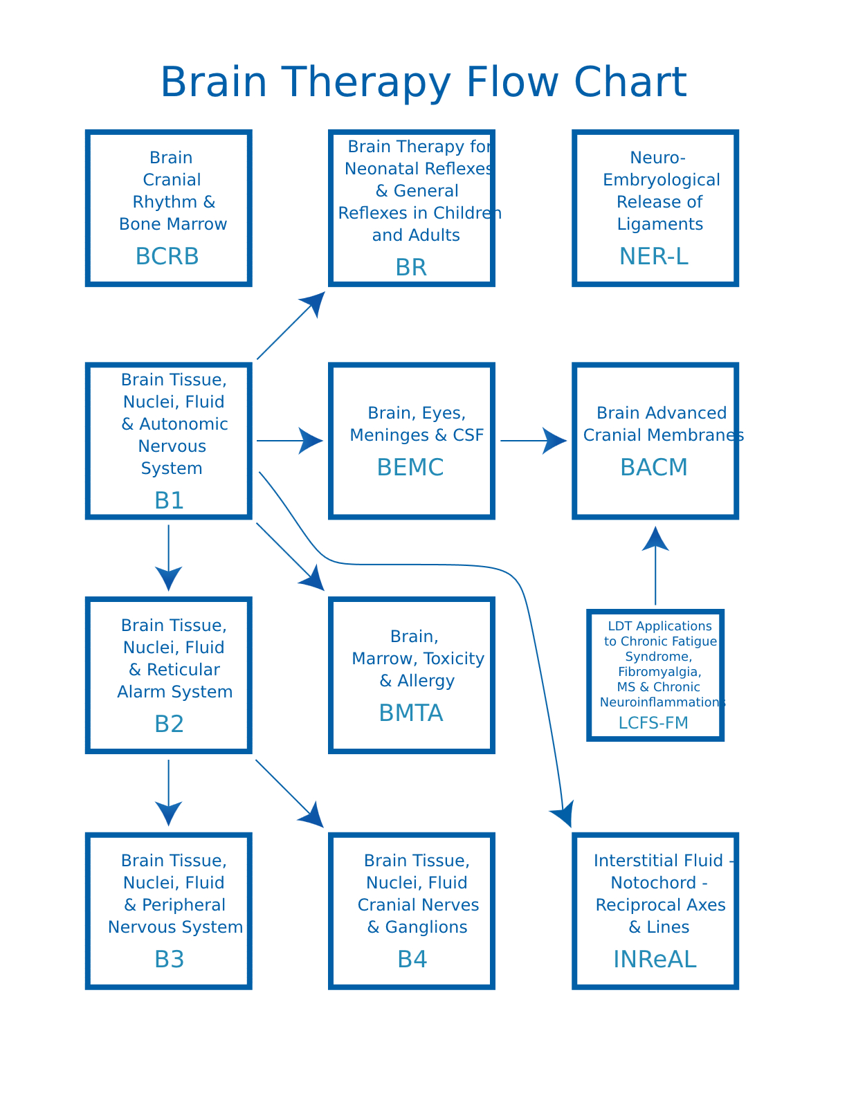 Brain Curriculum Flowchart | Chikly Health Institute