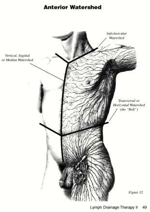 Main Actions of Manual Lymph Drainage Techniques