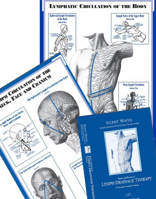 Amazon.com: Silent Waves: Theory and Practice of Lymph